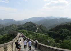 Great Wall of China (Max Roger Taylor ©)