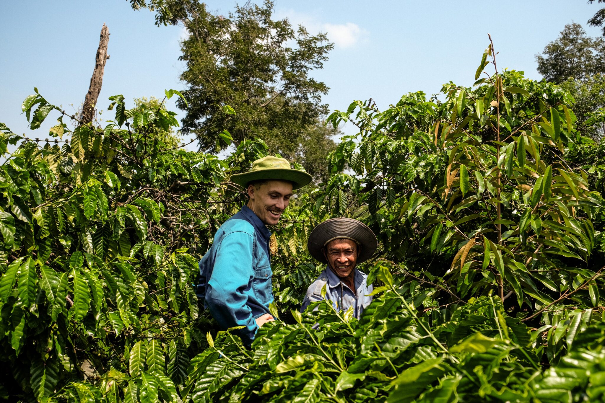 Skylar DLT photo 1 SWDTP